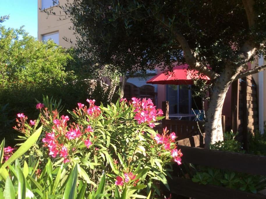 Cap Agde Studio-Cabine Jardin Clos, Port Et Plage Eksteriør bilde